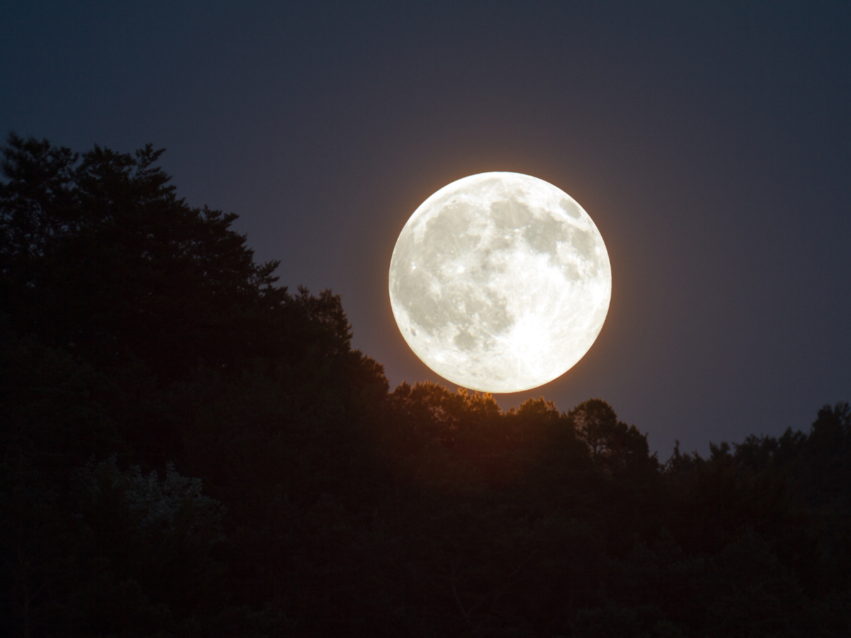 simpatia para o cabelo