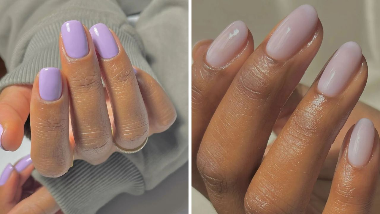 unhas leitosas de lavanda