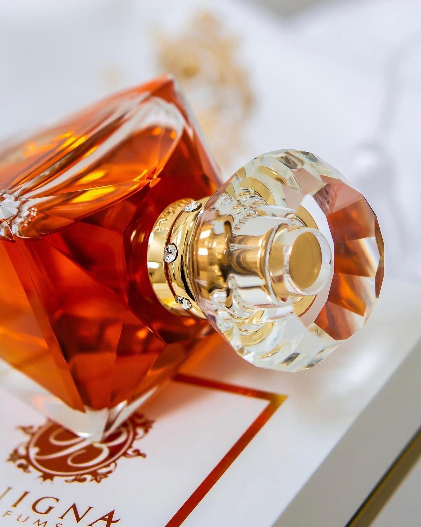 perfume Benigna Parfums Absolute Celebration